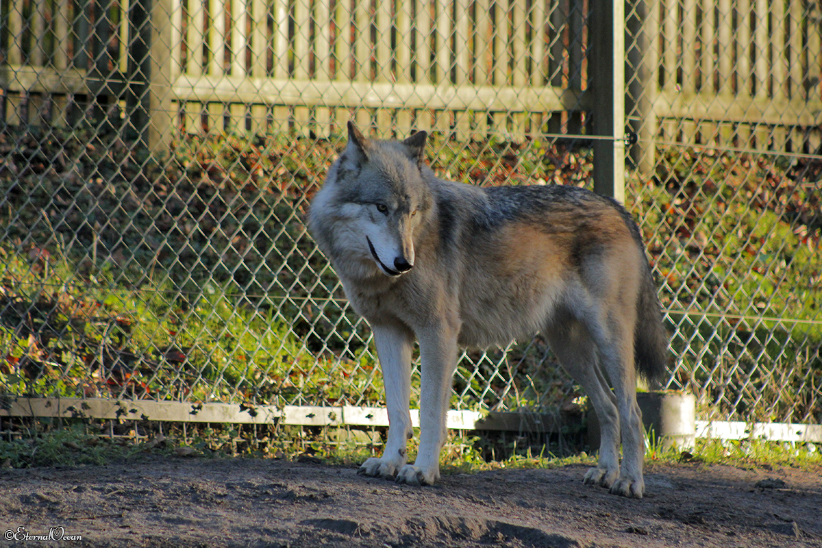 Lueneburg1401Jessi_Ole-10