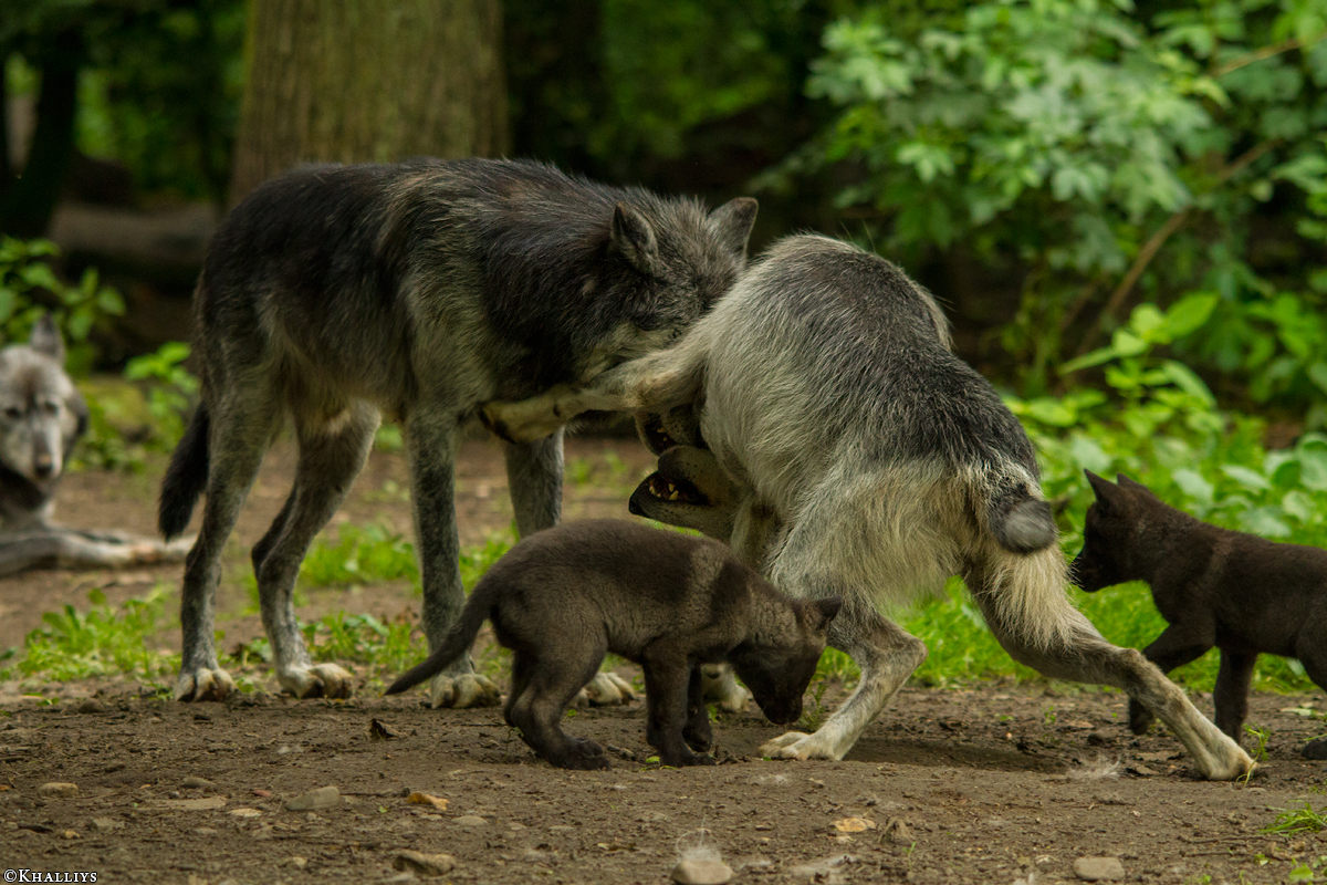 Gelsenkirchen1405Kati_All-06