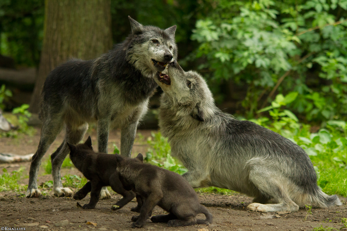 Gelsenkirchen1405Kati_All-09