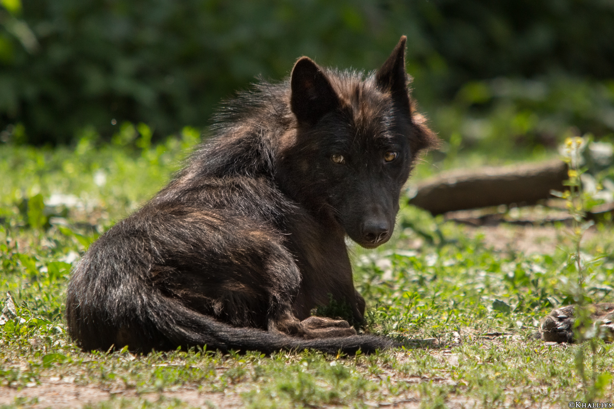 Gelsenkirchen1505Kati_Devaki-11
