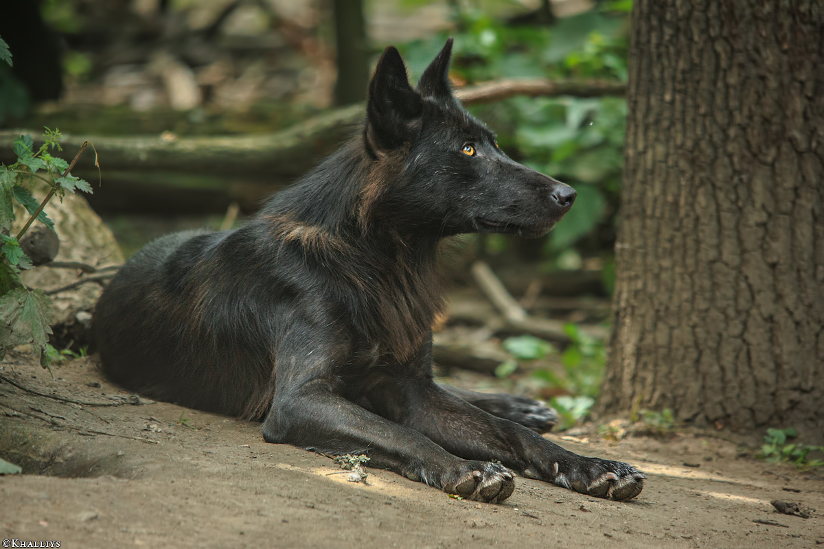 Gelsenkirchen1506Kati_Devaki-02