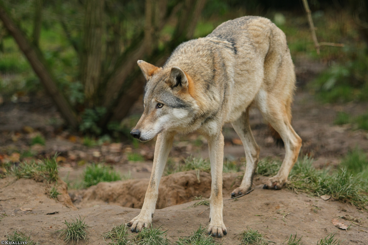 JosdeBruin1511Kati_Uki-08