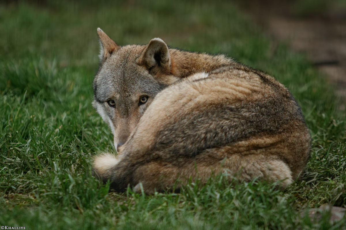 JosdeBruin1511Kati_Uki-17