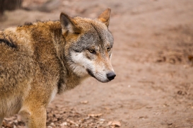 Tierpark Berlin