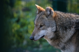 Tierpark Stendal