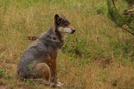 Eekholt1407LinaT_Lena-09