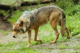 Nordhorn1206Kati_Remus-26