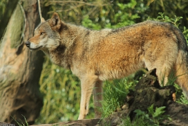 Nordhorn1305Kati_Remus-05