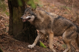 SchwBerge1602LinaT_Dunja-05