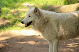 ZooBerlin1408LinaT_all-04
