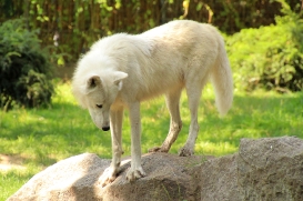 ZooBerlin1408LinaT_all-35