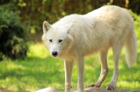 ZooBerlin1408LinaT_all-36