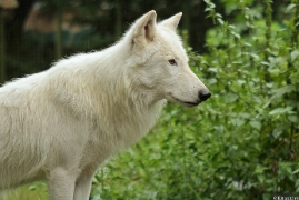 Zoo Duisburg