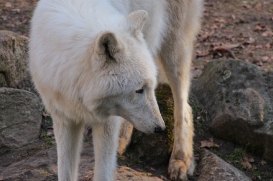 Zoo Eberswalde