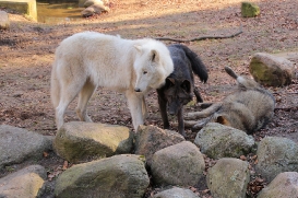 Zoo Eberswalde