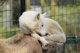 Kati_Wuppertal1203_Moon-02