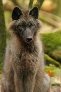 Pup12m12EderseeKati_Ceyla-20