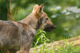Pup3m17LueneburgKati_Petja-07