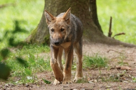 Pup3m17LueneburgKati_Petja-09