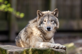 Allwetterzoo Münster