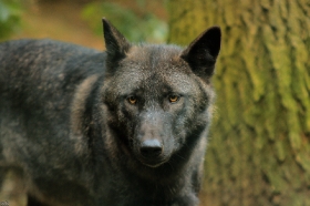 Kati_Eder1208_Xelha-10