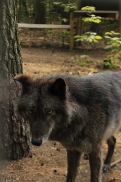 Saerbeck1404Jessi_Bo-08