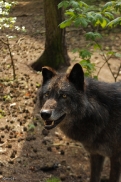 Saerbeck1404Jessi_Bo-46