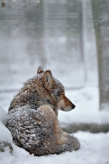 Springe1212Kati_Nantan-07
