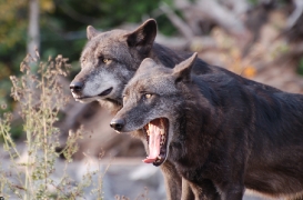 Hannover1006BineG_All-07