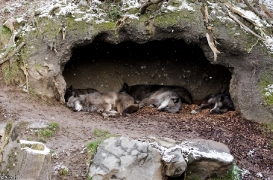 Hannover1310BineG_All-01