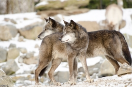 Hannover1310BineG_All-03