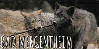 puppy mergentheim