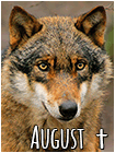 August