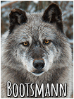 Bootsmann