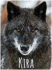 Kira