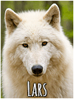 Lars