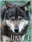 Lena