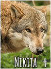 Nikita