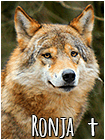 Ronja