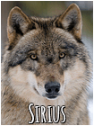 Sirius